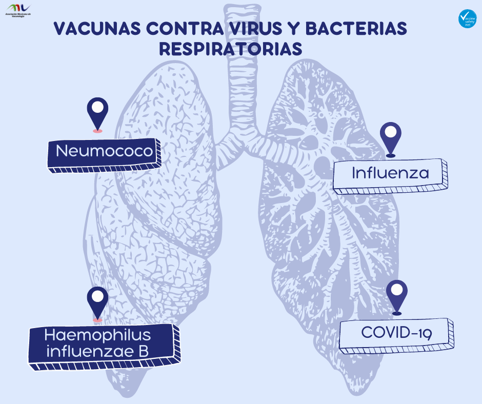 Vacunación Noticias Los virus y las bacterias una unión mortal en las vías respiratorias